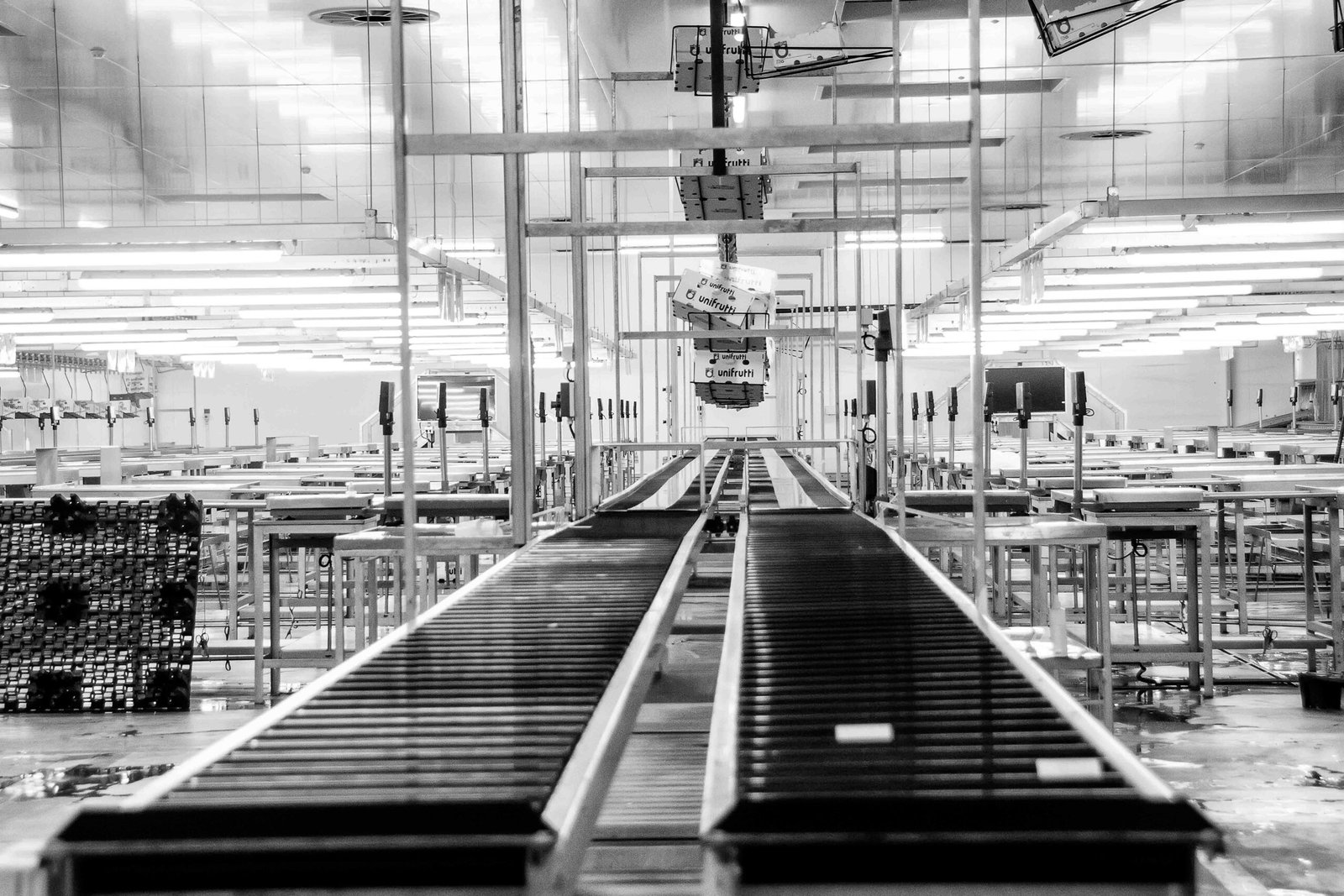 Industrial production line with conveyor belts